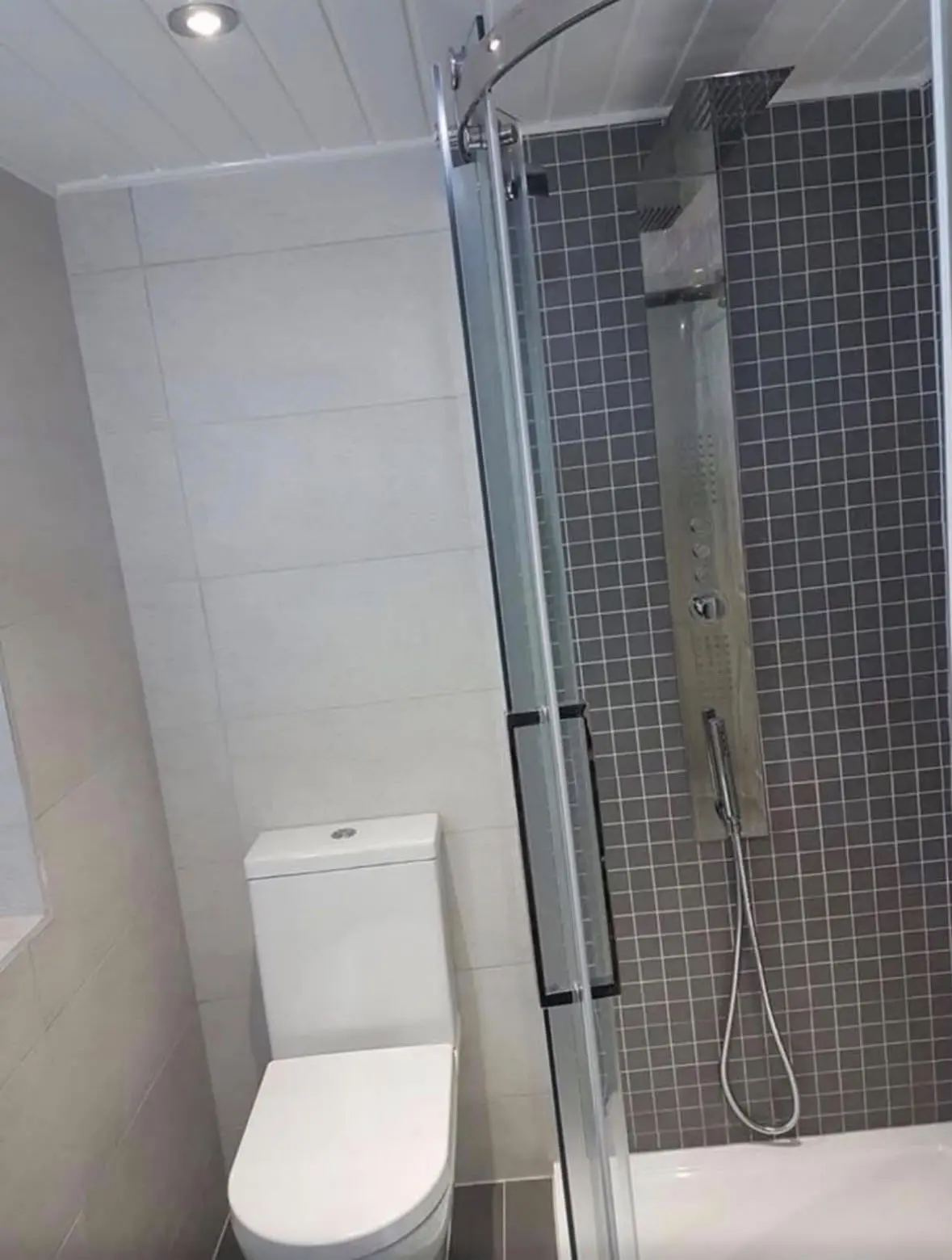 Shower tower panel and WC in the compact shower room